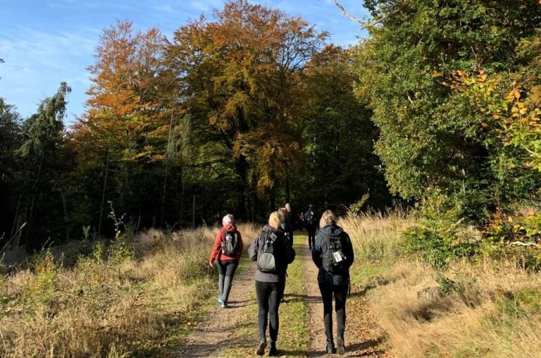 Fanø: Over stok og sten 2026